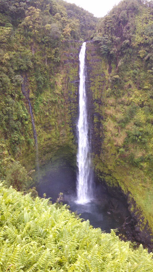 IMG_20140927_122034_740