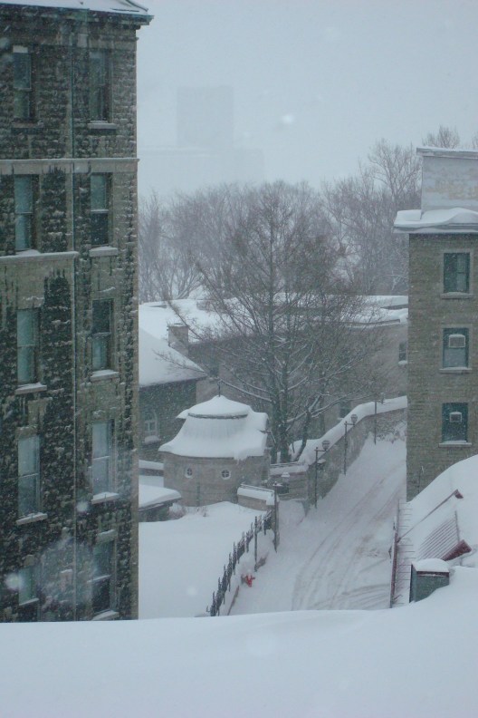 Quebec 08-Bahamas 08-VQ 08 269