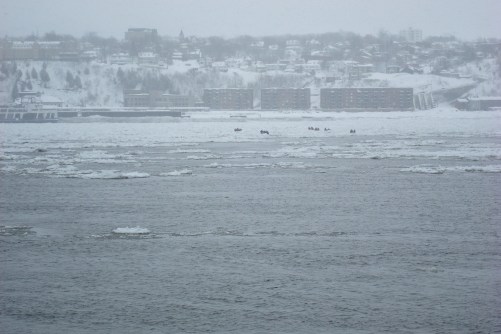 Quebec 08-Bahamas 08-VQ 08 296