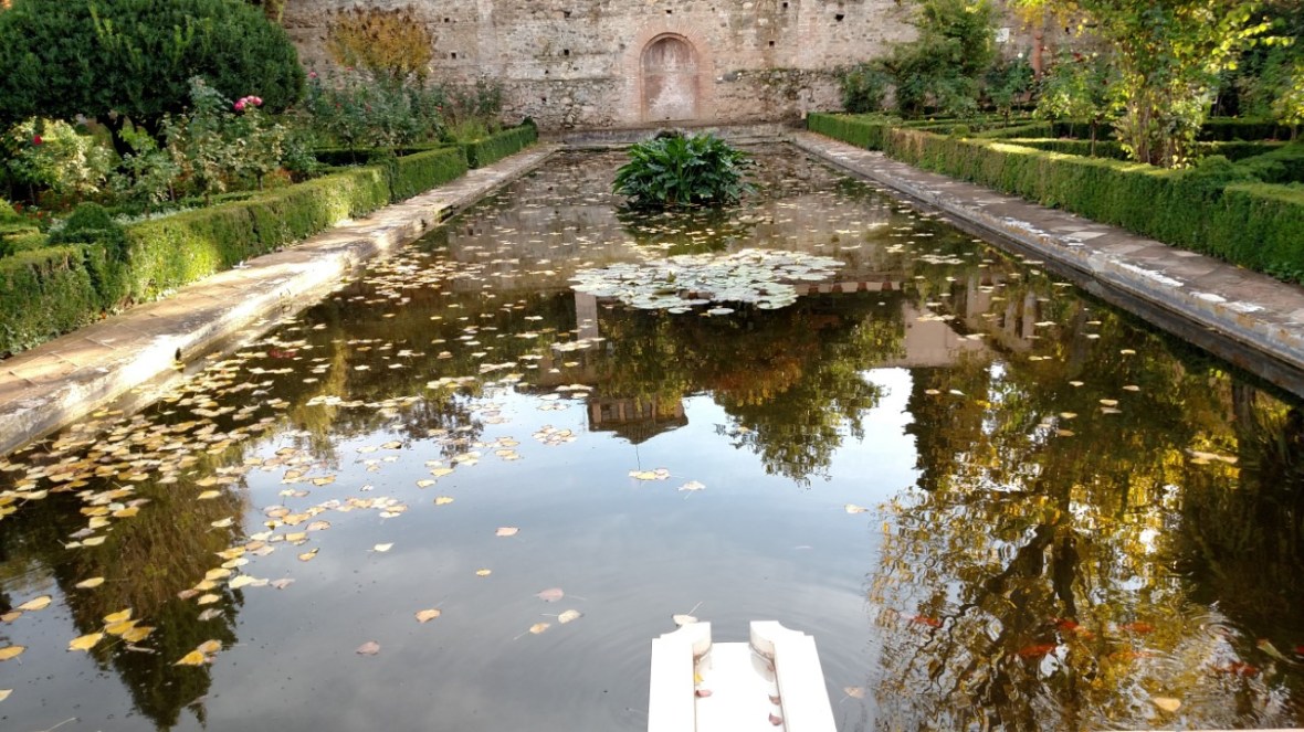 Alhambra pool
